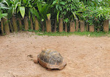 Zoológico de São Paulo