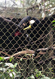 Zoológico de São Paulo