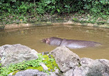 Zoológico de São Paulo