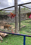 Parque Zoológico Municipal "Quinzinho de Barros"