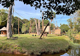 Parque Zoológico Municipal "Quinzinho de Barros"