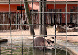 Parque Zoológico Municipal "Quinzinho de Barros"