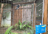 Parque Zoológico Municipal "Quinzinho de Barros"