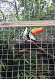 Parque Zoológico Municipal "Quinzinho de Barros"