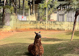 Parque Zoológico Municipal "Quinzinho de Barros"