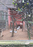 Parque Zoológico Municipal "Quinzinho de Barros"