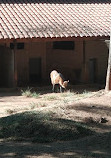 Parque Zoológico Municipal "Quinzinho de Barros"