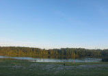 Lake Lookout