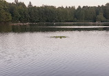 Lake Lookout