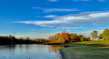 Lake Lookout