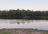 Lake Lookout