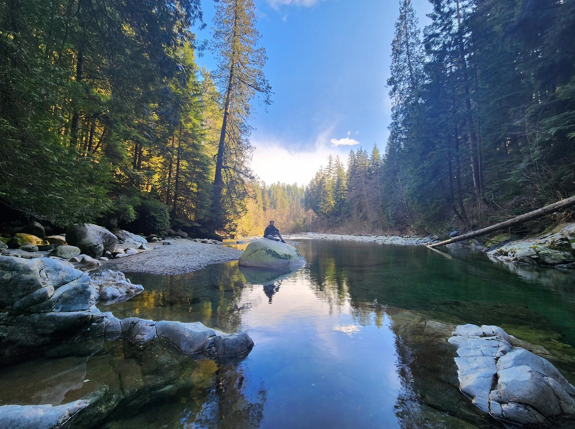 Lynn Canyon Suspension Bridge