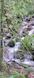 Lynn Canyon Suspension Bridge