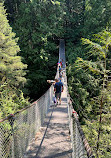 Lynn Canyon Suspension Bridge