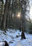 Lynn Canyon Suspension Bridge