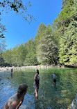 Lynn Canyon Suspension Bridge