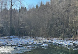 Lynn Canyon Suspension Bridge