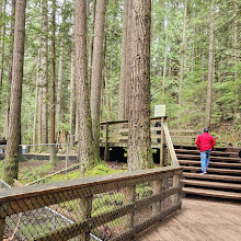 Lynn Canyon Suspension Bridge