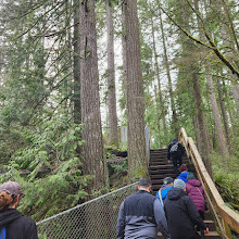 Lynn Canyon Suspension Bridge