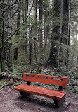 Lynn Canyon Suspension Bridge