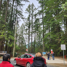 Lynn Canyon Suspension Bridge