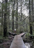 Lynn Canyon Suspension Bridge