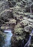 Lynn Canyon Suspension Bridge