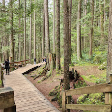 Lynn Canyon Suspension Bridge