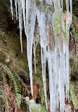 Lynn Canyon Suspension Bridge