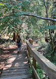 Lynn Canyon Suspension Bridge