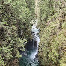 Lynn Canyon Suspension Bridge