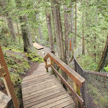 Lynn Canyon Suspension Bridge