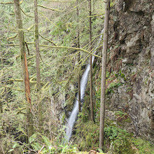 Lynn Canyon Suspension Bridge