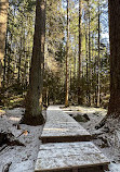 Lynn Canyon Suspension Bridge