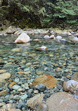 Lynn Canyon Suspension Bridge