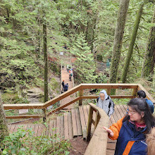 Lynn Canyon Suspension Bridge