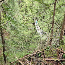 Lynn Canyon Suspension Bridge