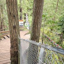 Lynn Canyon Suspension Bridge