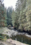 Capilano River Regional Park