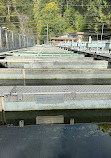 Capilano River Regional Park