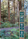 Capilano River Regional Park