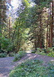 Capilano River Regional Park