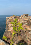 Sindhudurg Fort