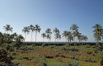 Sindhudurg Fort