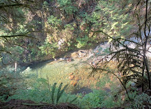 Twin Falls Bridge