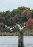 Rocky Point State Park