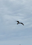 Rocky Point State Park