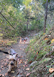 Rocky Point State Park