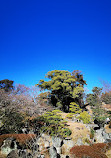 Nagoya Castle