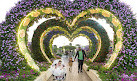 Dubai Miracle Garden